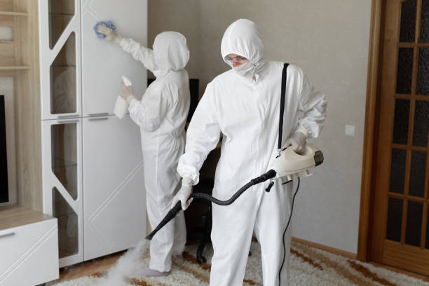 Attic Mold Removal in Whittier, CA