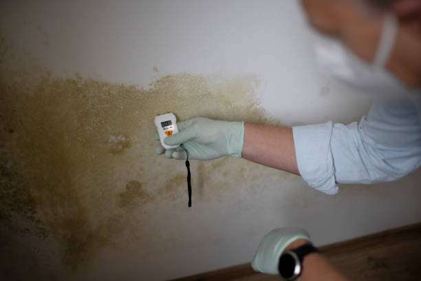 Best Mold Testing  in Whittier, CA