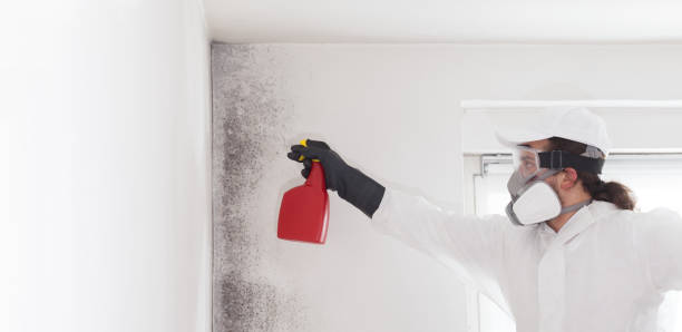 Best Residential Mold Removal  in Whittier, CA