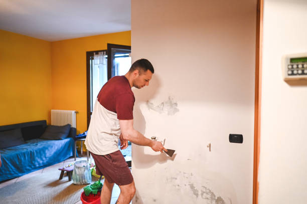 Reliable Whittier, CA Mold Removal Solutions