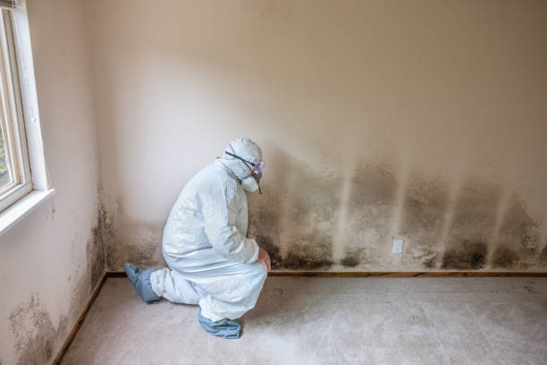 Best Mold Testing  in Whittier, CA